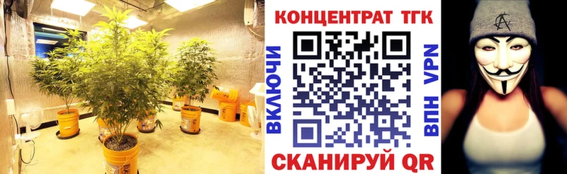 Дистиллят ТГК концентрат  наркошоп  Бикин 