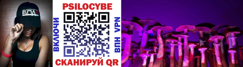 Псилоцибиновые грибы мицелий  Бикин 